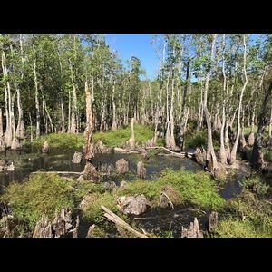 Meet your Posher, Esmeralda